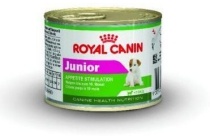 royal canin chn mini junior wet