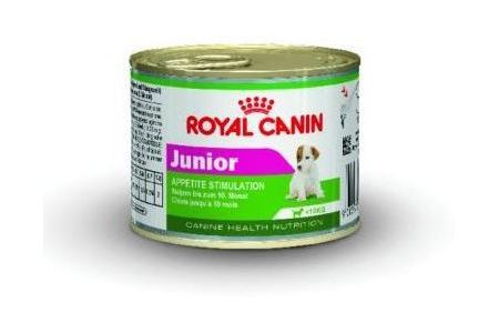 royal canin chn mini junior wet