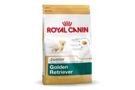 royal canin bhn golden retriever junior