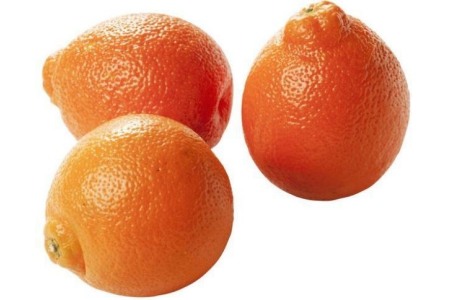 minneola