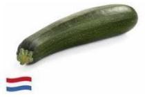 hollandse courgette