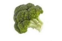 hollandse broccoli