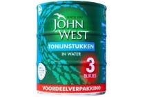 john west tonijnstukken in water