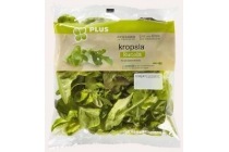 kropslamix met rucola