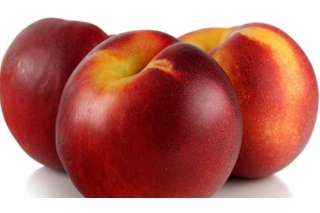 nectarines