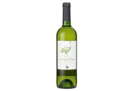 chileense sauvignon blanc