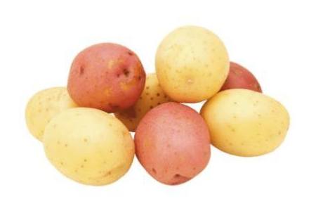 culinaire aardappelen