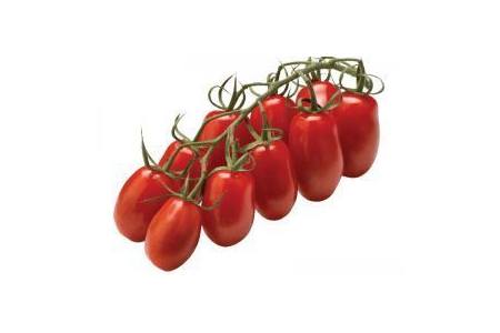 san marzano tomaten