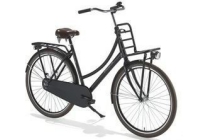 dutch flavor transportfiets spedition one