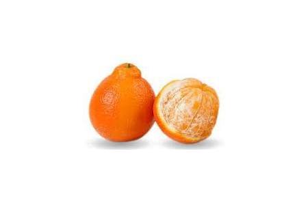 minneola