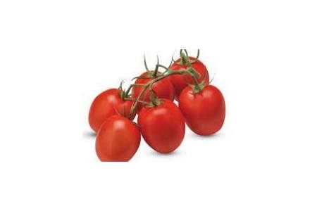 mini pruim tros tomaten