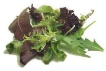 ready to eat mesclun sla