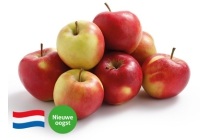 hollandse elstar appels