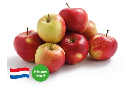 hollandse elstar appels