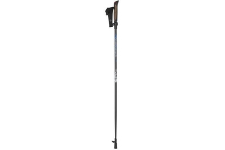 nordic walking sticks