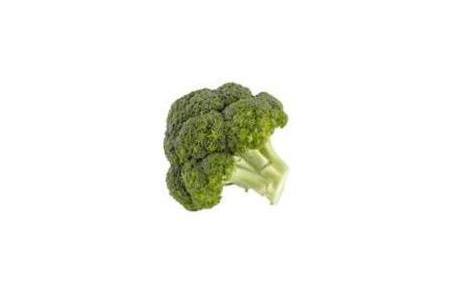 hollandse broccoli