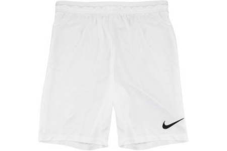 nike dry fit herenshort