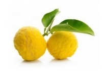 spaanse yuzu