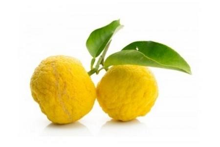 spaanse yuzu