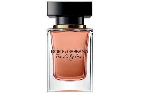 dolce and gabbana the only one