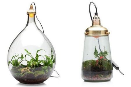 mini ecosysteem in glas