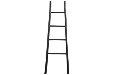 ladder roel