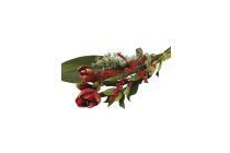 amaryllis boeket met ilex