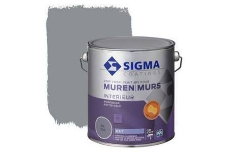 sigma reinigbare muurverf ral 7045