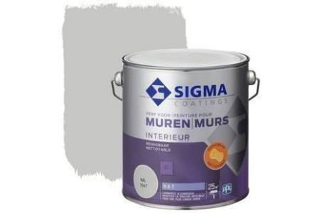 sigma reinigbare muurverf ral 7047