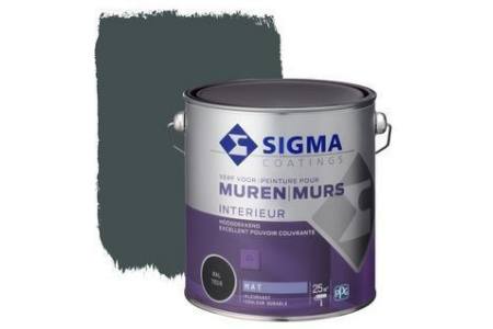 sigma hoogdekkende muurverf ral 7016