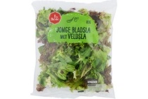 jonge bladsla met veldsla