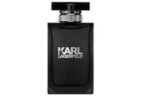 karl lagerfeld pour homme