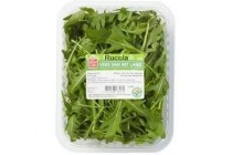 rucola