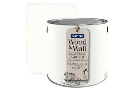 gamma wood en wall krijtverf wonderful white 2 5 liter