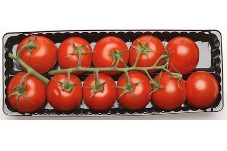 troscocktailtomaten