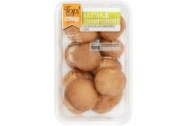 top van coop kastanjechampignons