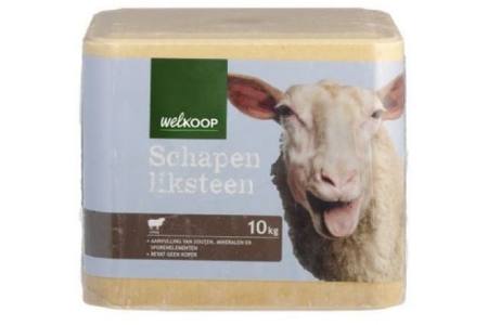 liksteen schaap