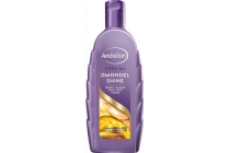 andrelon amandel shine