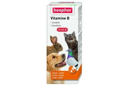 beaphar vitamine b complex voedingssupplement weerstand 50 ml