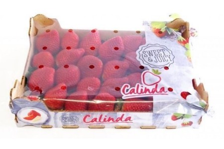 calinda aardbeien