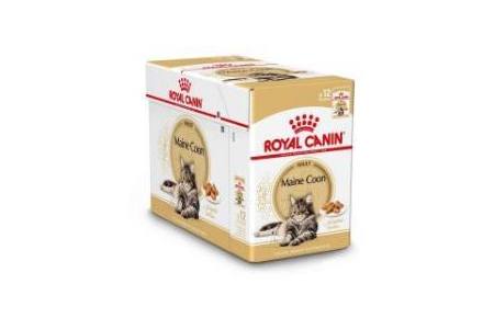 royal canin pouch 12x85 gr maine coon