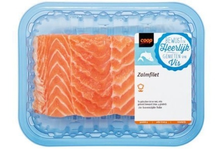 zalmfilet