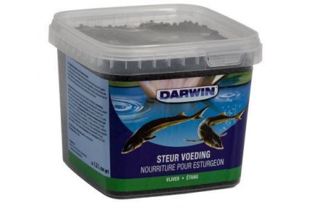 darwin steur vijvervoeding