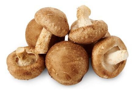 biologische shiitake