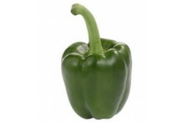 hollandse groene paprika