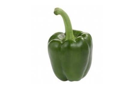 hollandse groene paprika