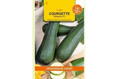 zaad courgette