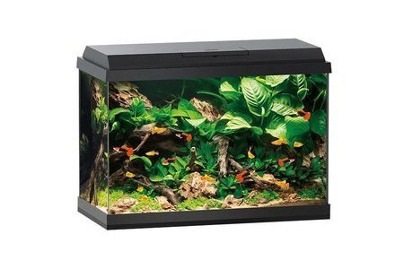 juwel aquarium primo 70 l