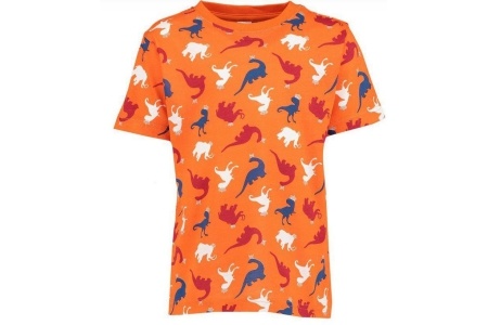 kinder t shirt oranje