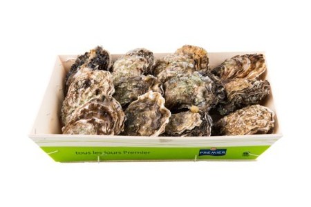 verse zeeuwse oesters